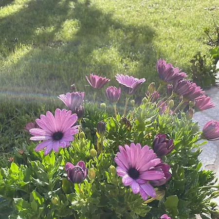 O Fogar Da Fonte Cee