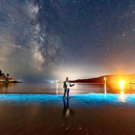 Lägenhet O Fogar Da Fonte